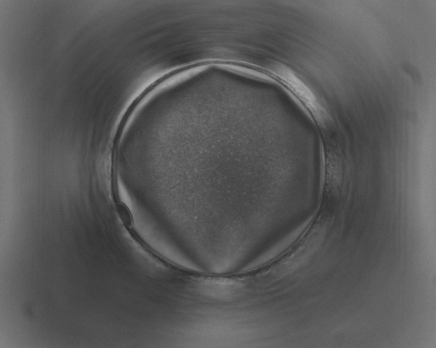 X0000116451100200912291942
