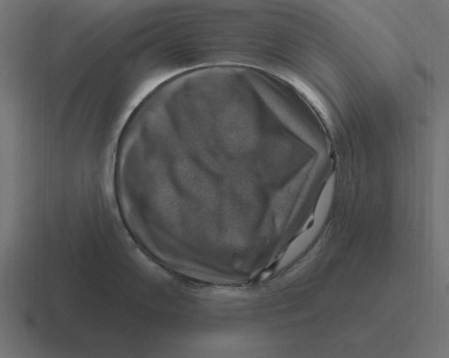 X0000116451102200912291942