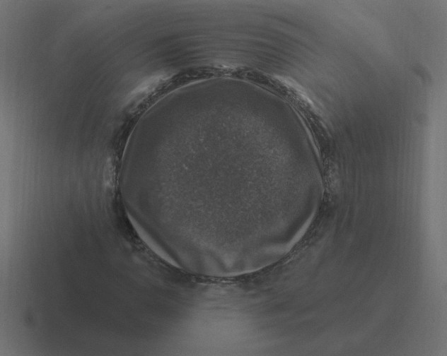 X0000116451110200912291942