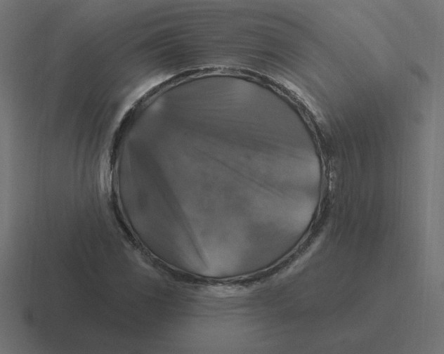X0000116451117200912291942
