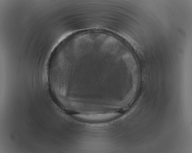X0000116451118200912291942