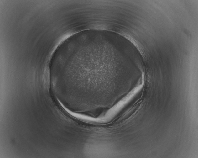 X0000116451123200912291942