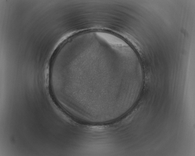 X0000116451126200912291942