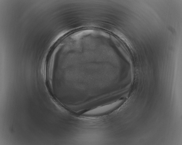 X0000116451127200912291942