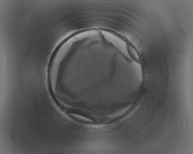 X0000116451134200912291942
