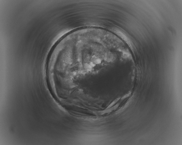 X0000116451141200912291942