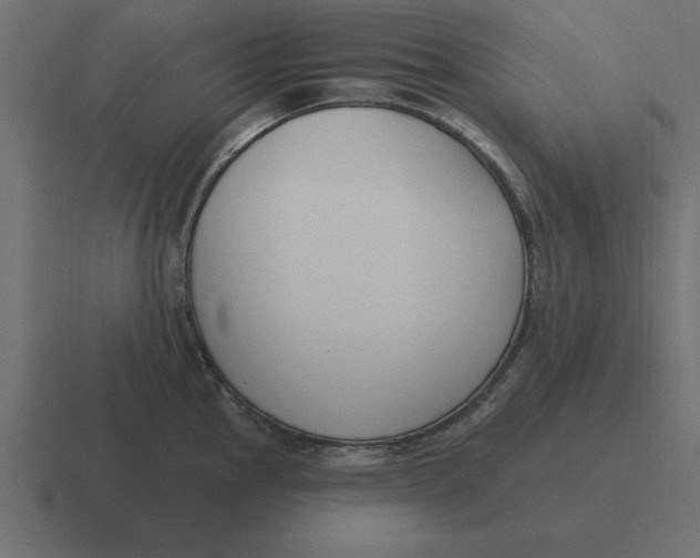 X0000116451145200912291942