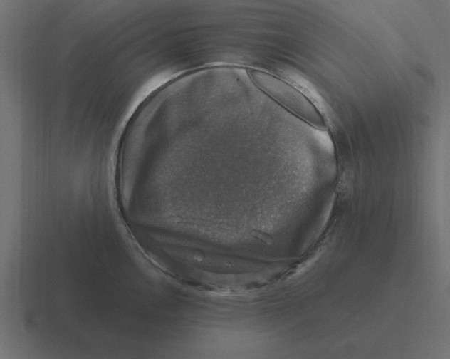 X0000116451146200912291942