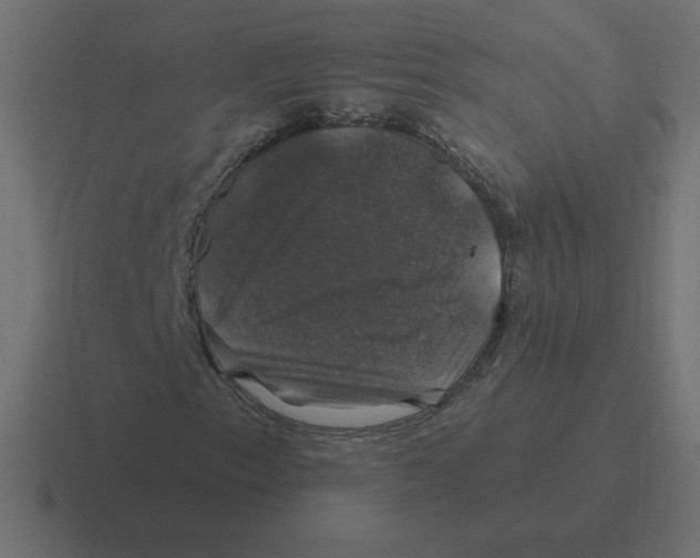 X0000116451153200912291942