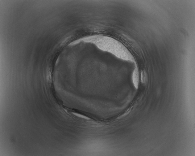 X0000116451155200912291942