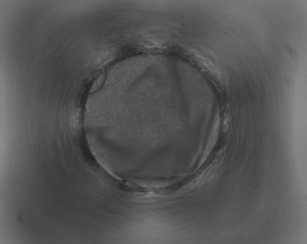 X0000116451156200912291942