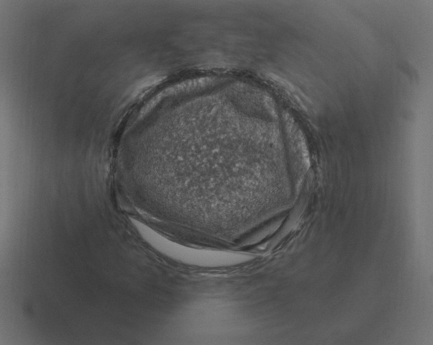 X0000116451157200912291942