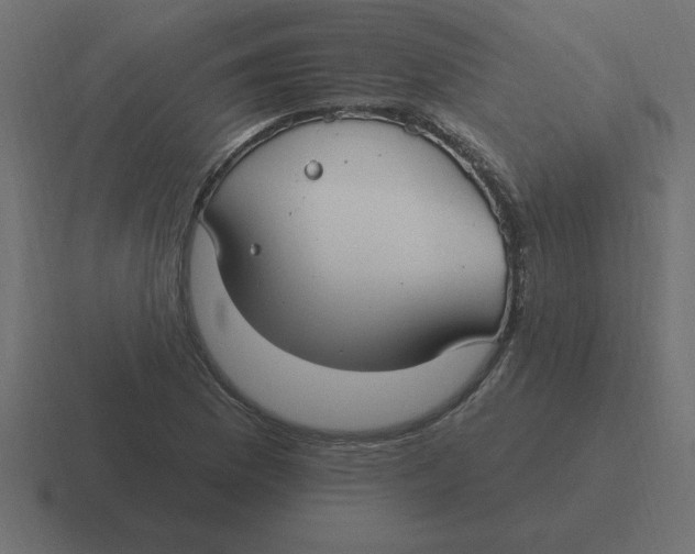 X0000116451169200912291942