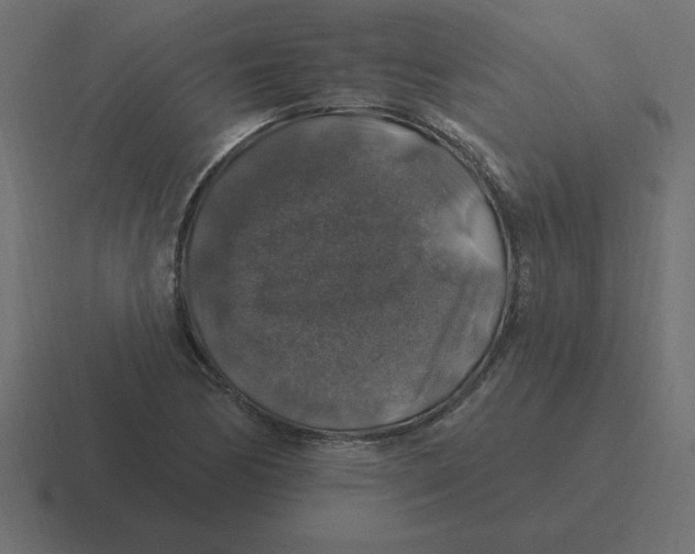 X0000116451170200912291942