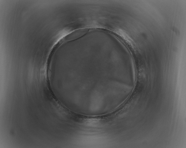 X0000116451173200912291941