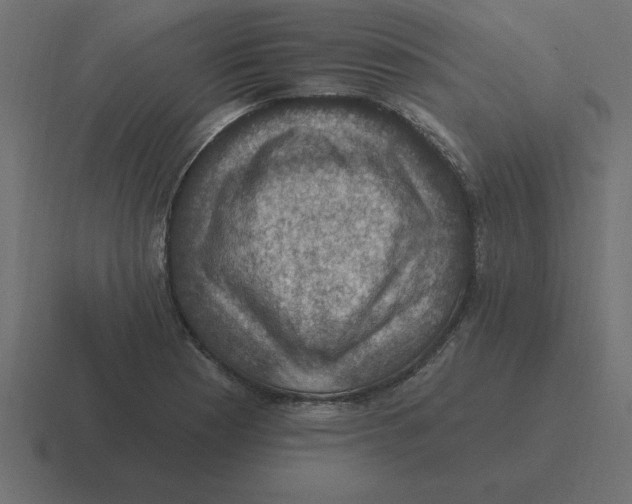 X0000116451177200912291941
