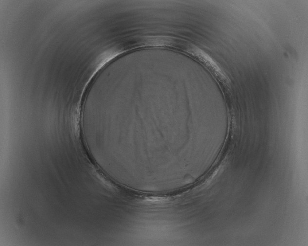 X0000116451178200912291941