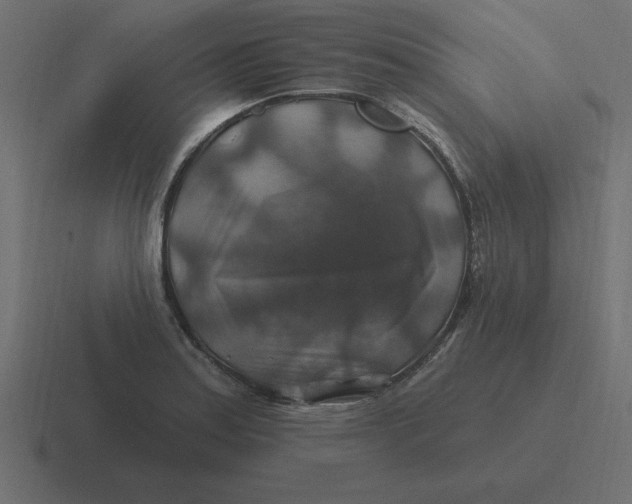 X0000116451179200912291941