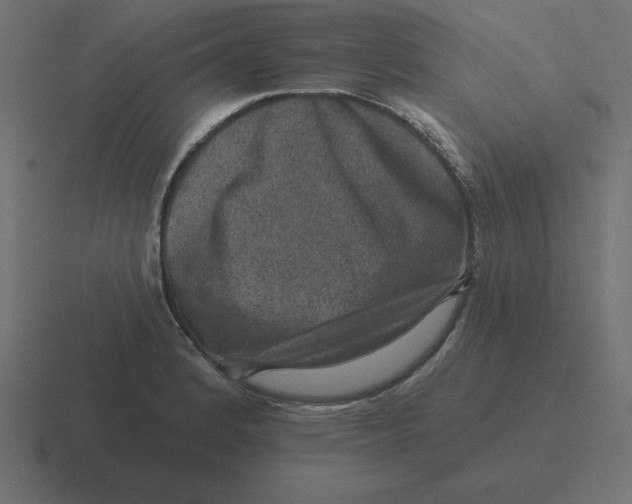 X0000116451184200912291941