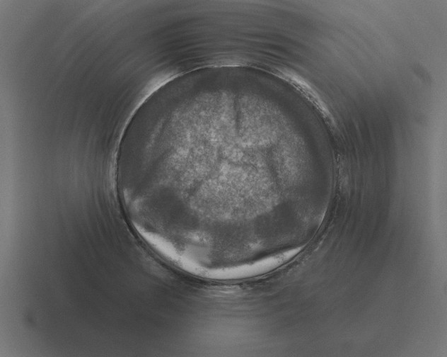 X0000116451186200912291941