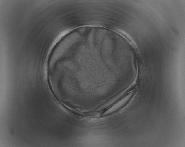 X0000116451188200912291941