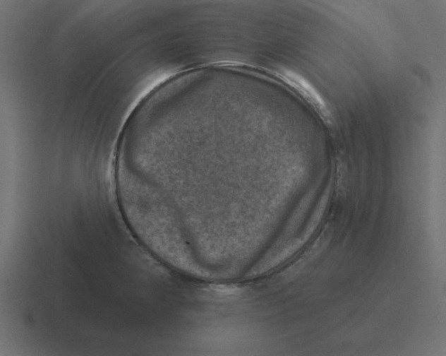 X0000116451190200912291941
