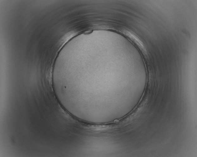 X0000116451193200912291941