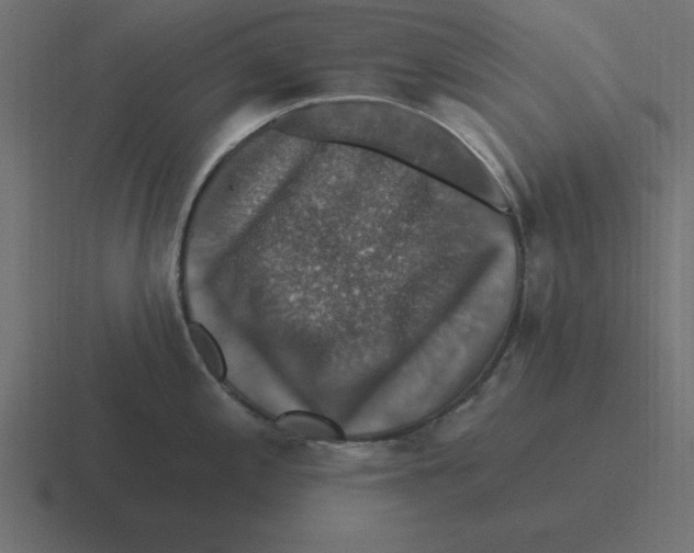X0000116451197200912291941