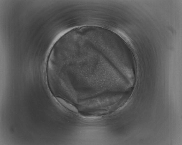 X0000116451200200912291941