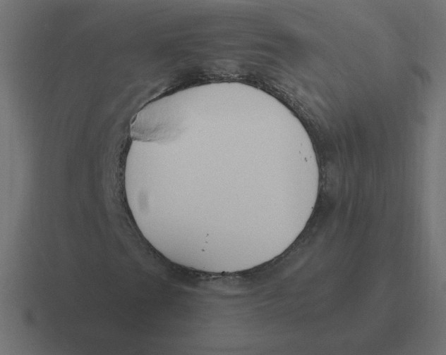 X0000116451201200912291941