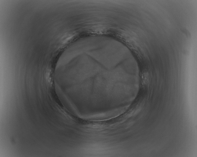 X0000116451202200912291941