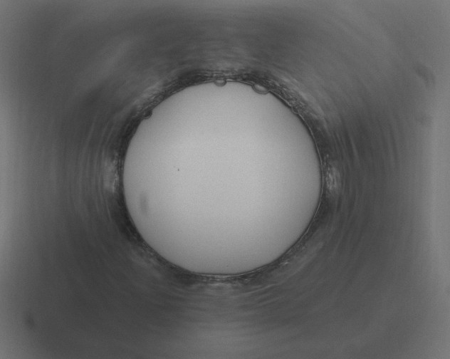 X0000116451204200912291941