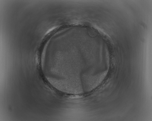 X0000116451206200912291941