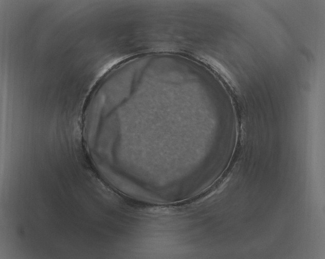 X0000116451212200912291941