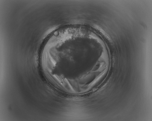 X0000116451213200912291941