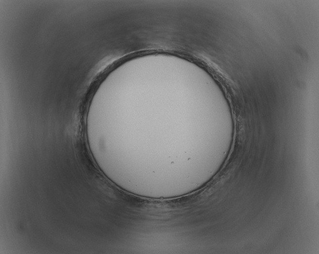 X0000116451215200912291941