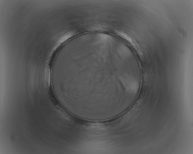 X0000116451219200912291941