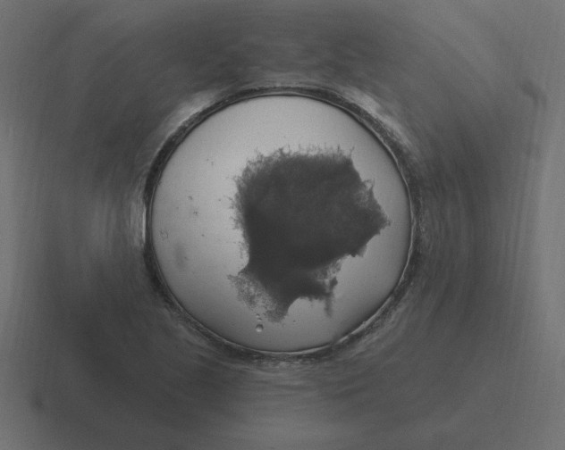 X0000116451221200912291941
