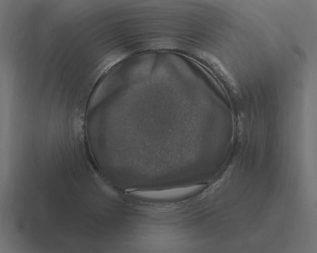 X0000116451225200912291941
