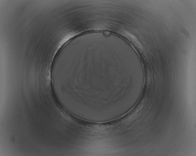 X0000116451226200912291941