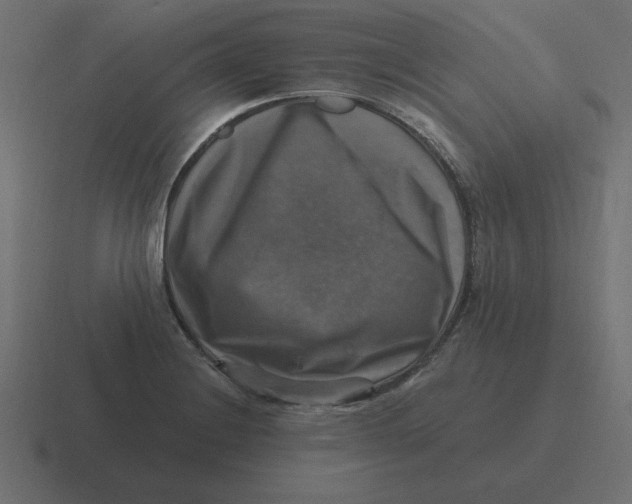 X0000116451228200912291941
