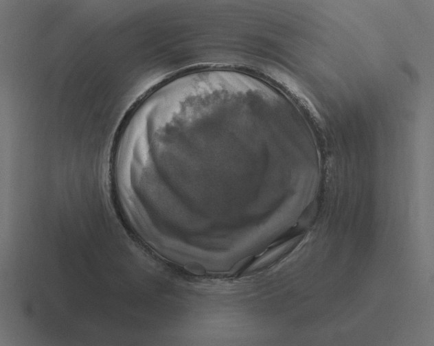 X0000116451229200912291941