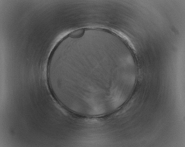 X0000116451231200912291941