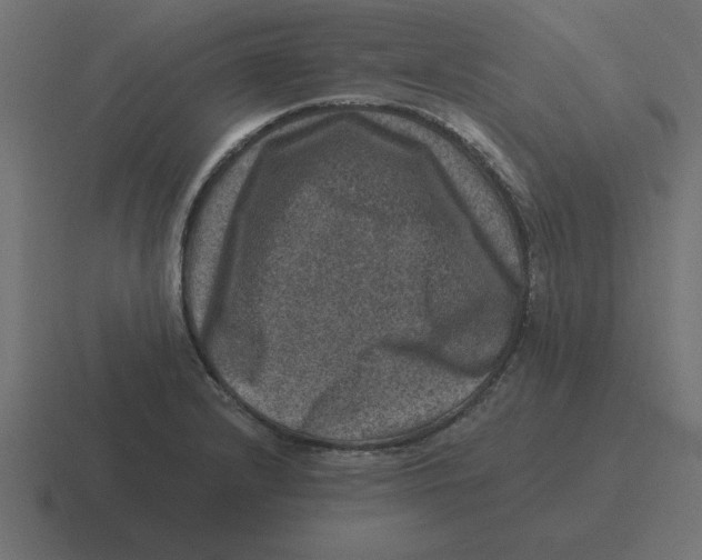 X0000116451232200912291941