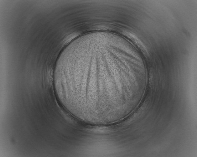 X0000116451233200912291941