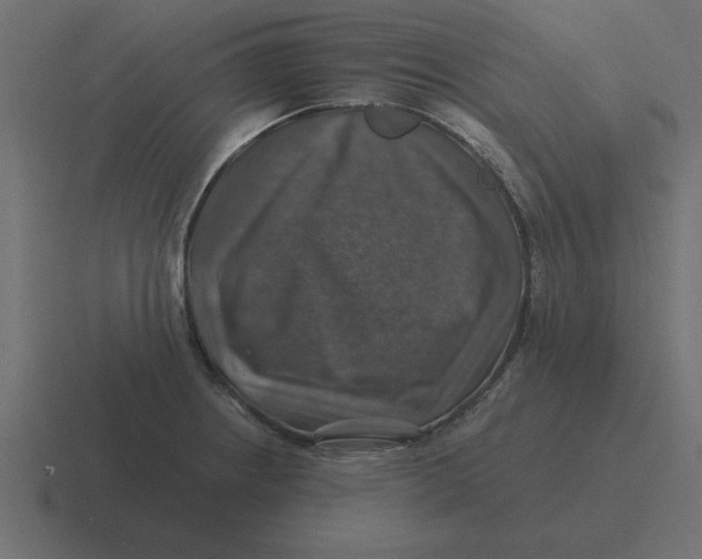 X0000116451234200912291941