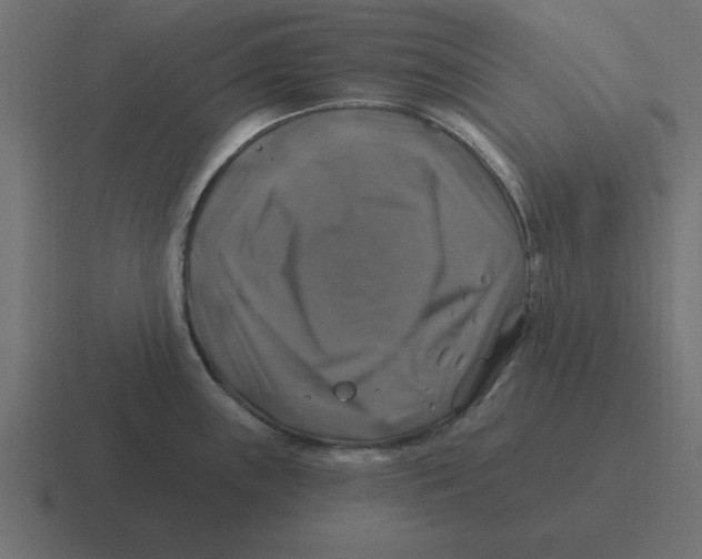 X0000116451243200912291941