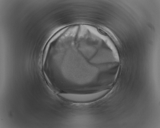 X0000116451244200912291941