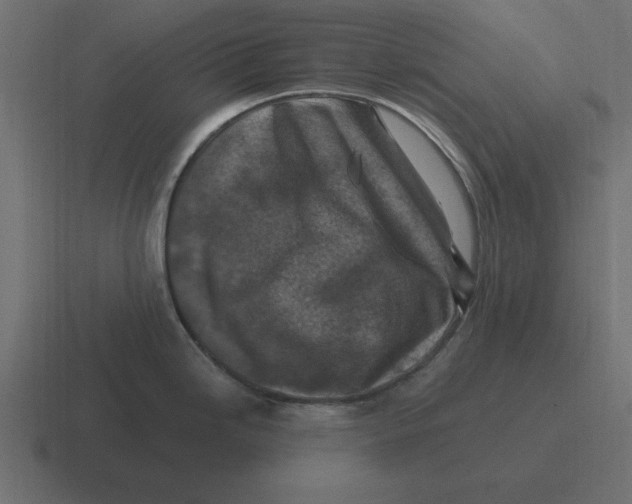 X0000116451246200912291941