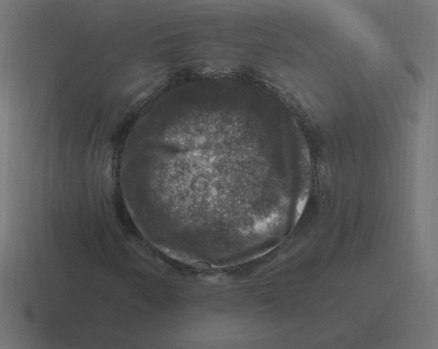 X0000116451250200912291940